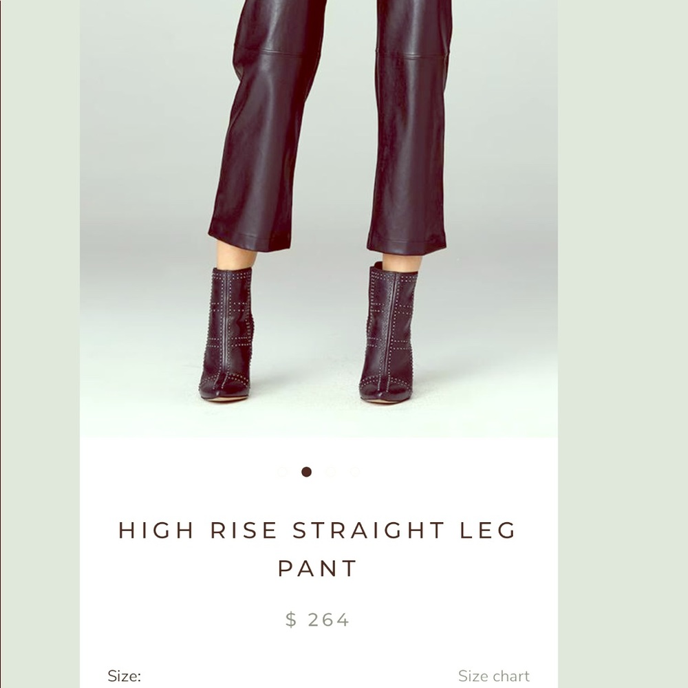 David Lerner High rise. Never worn